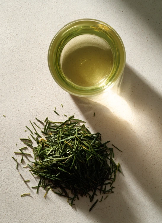 Sencha_green_Gallery_photo_1.webp