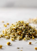 Chamomile_Gallery_photo_1.webp