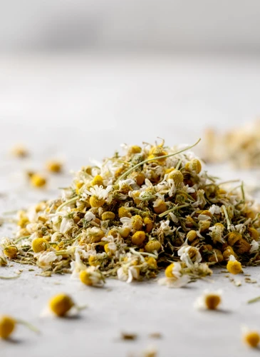 Chamomile_Gallery_photo_1.webp