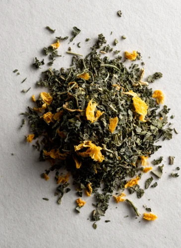 Nettle_Gallery_photo_1.webp