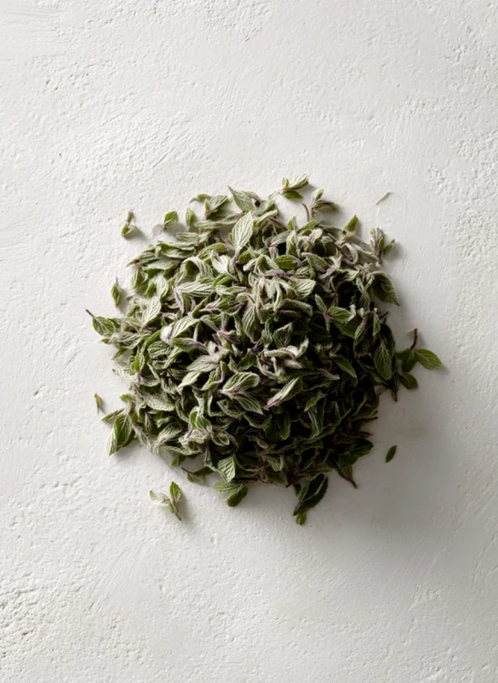 Peppermint_Gallery_photo_1.webp
