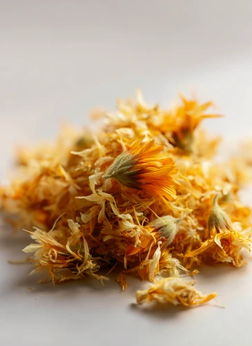 Calendula_Gallery_photo_1.webp