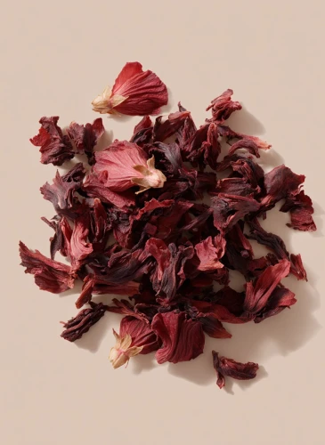 Hibiskus_Gallery_photo_1.webp