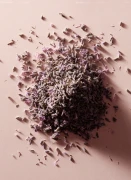 Lavender_Gallery_photo_1.webp