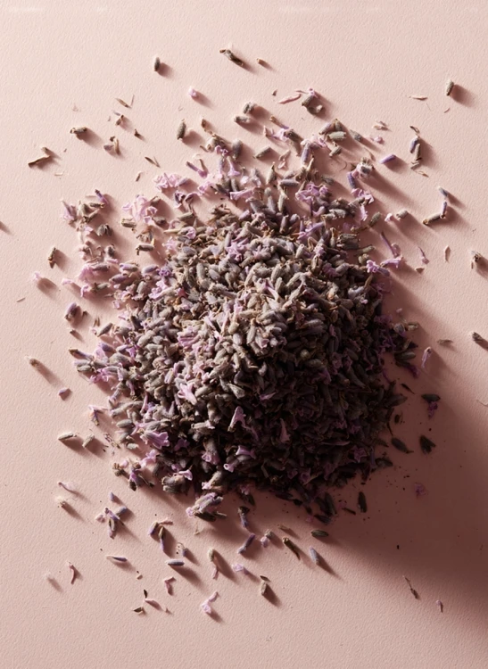Lavender_Gallery_photo_1.webp