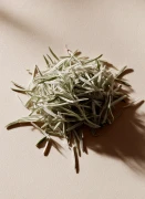 Rosemary_Gallery_photo_1.webp